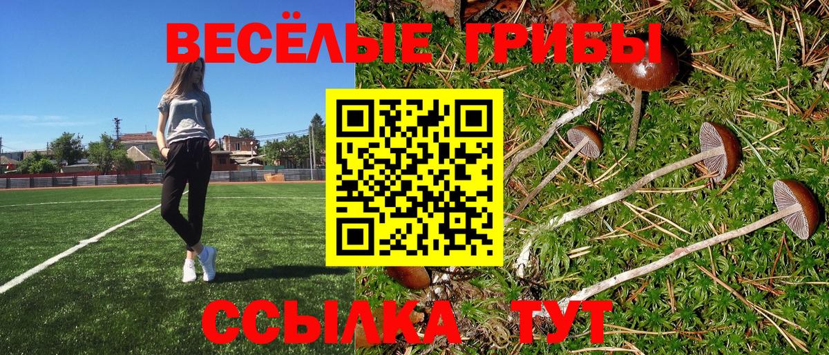 Псилоцибиновые грибы прущие грибы Среднеуральск