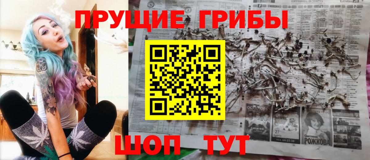 Среднеуральск  Галлюциногенные грибы Cubensis  Вход с VPN 